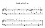Lank_sal_hy_lewe-1.jpg