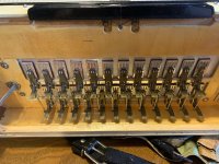 IMG_4711.jpeg