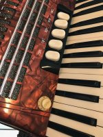 accordion_electrics - 6.jpeg