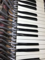 IMG_2185.jpeg