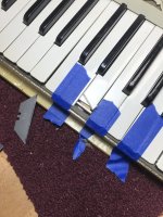IMG_2369.jpeg