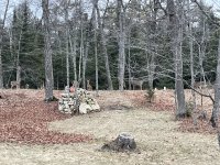 IMG_2176.jpeg