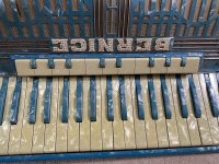 Blue pearl accordion 1.jpg