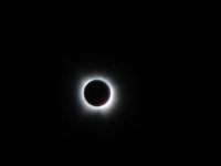 IMG_3669.jpg