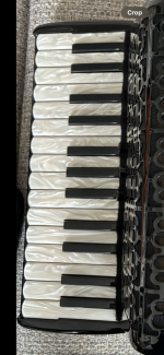 IMG_7382.png