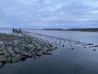IMG_2547.jpeg