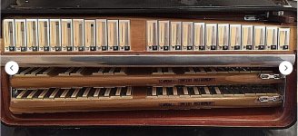 ScandalliReeds1.jpg