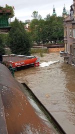 IMG_5235.jpeg