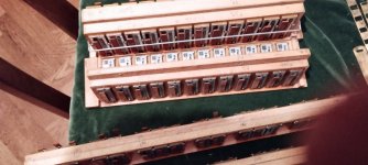 Hohner Tango V bass reeds 1 .jpg Hohner Tango V bass reeds 1 .jpg
