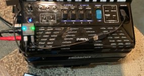 IMG_0130.jpeg