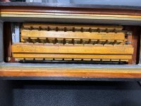 IMG_2178.jpeg