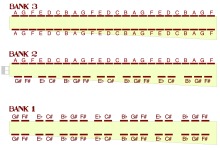 settimio reed layout.png