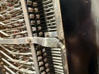 IMG_1413.jpeg IMG_1413.jpeg