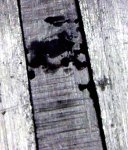 ReedCorrosion2.jpg