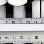 Studiosa5476R7.jpg