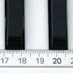 Studiosa5474BR7.jpg