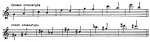 clavier garmoshka cherepashka Pjotr Nevsky.jpg