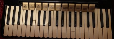 7E36C57D-98FD-4629-95AE-37C481411F16.jpeg