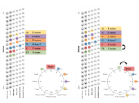 stradella circle5ths.png