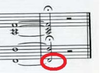 Cadence.jpg