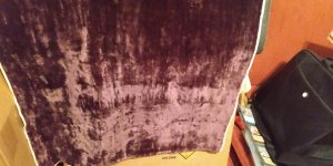 IMG_20220619_073542176.jpg