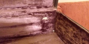 IMG_20220619_073546501.jpg