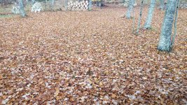 20221030_094744.jpg