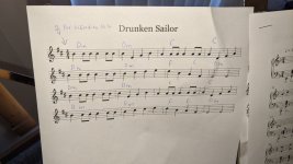 Drunken sailor.jpg