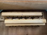 IMG_2372.jpeg